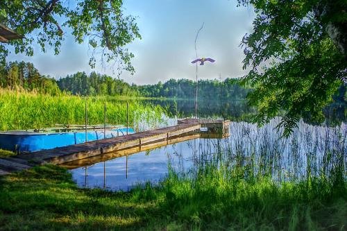 muelle con barco y sombrilla en un lago en Poke puhkemajad, en Otepää