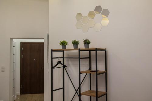 a shelf with potted plants on a wall at P&M Apartament by Rentoom in Toruń