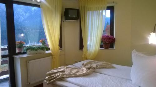 a bedroom with a bed and a window at Vila Alunis in Buşteni