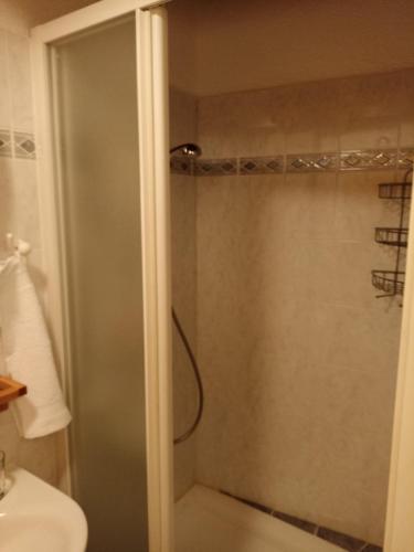a shower with a glass door in a bathroom at Casa Mali in Cres