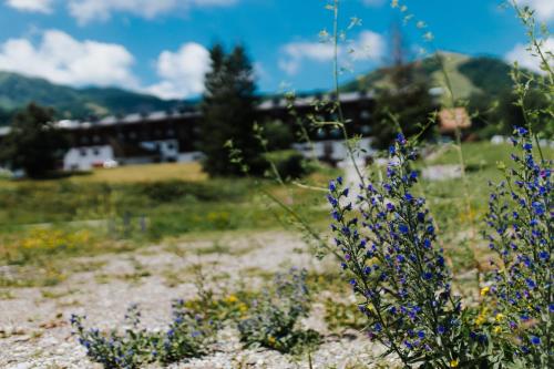 a field of flowers with a building in the background at Hotel Enzo Moro in Sùtrio