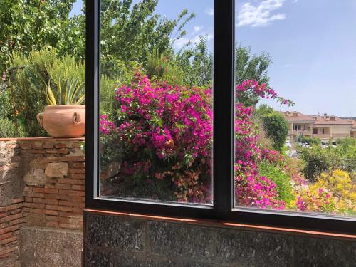 A garden outside Appartamento in collina a 15 minuti dal mare