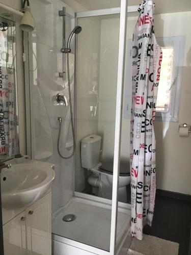 une salle de bain avec une douche avec des toilettes et un lavabo dans l'établissement Studio Oustaou accès piscine, à Marseille