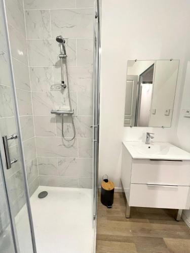 une salle de bain avec douche et lavabo dans l'établissement LE LOTUS BLEU - WIFI - NETFLIX, à Angoulême