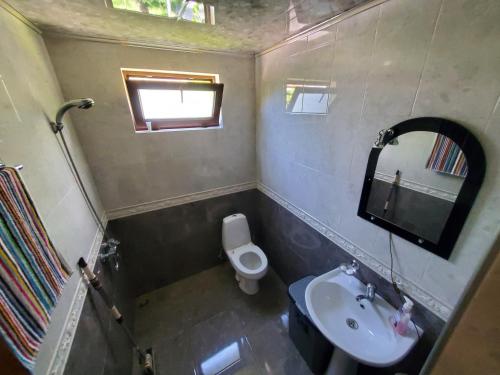 Ein Badezimmer in der Unterkunft Guesthouse Vashlovani