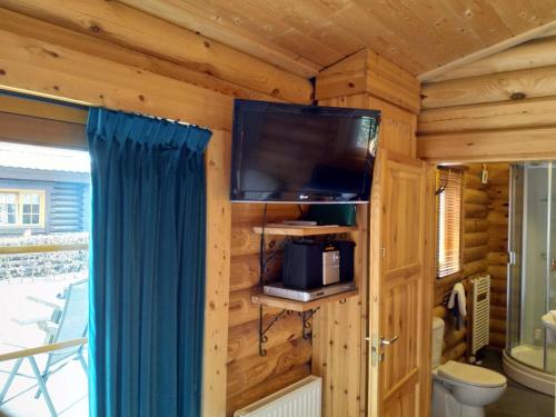 a room with a tv and a toilet in a log cabin at De Stamper - De Wije Werelt in Otterlo