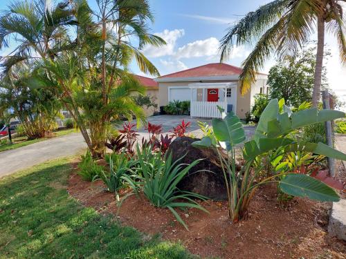 a house with palm trees in front of a yard at One Seven Solberg in St Thomas