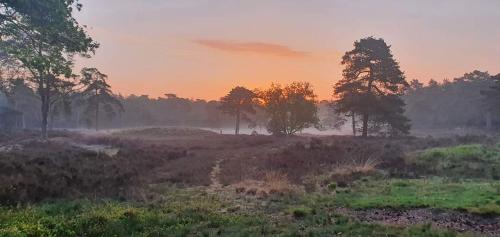 a foggy field with trees in the background at Stacaravan in De Pol