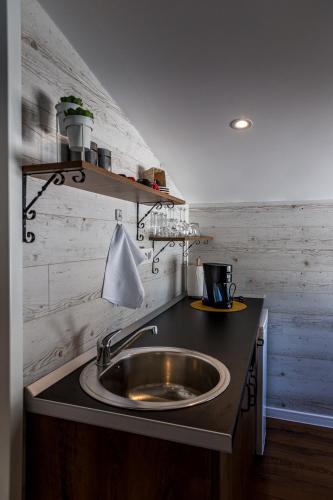 a kitchen with a sink and a counter top at Splav-apartman Grizzly in Gaočići