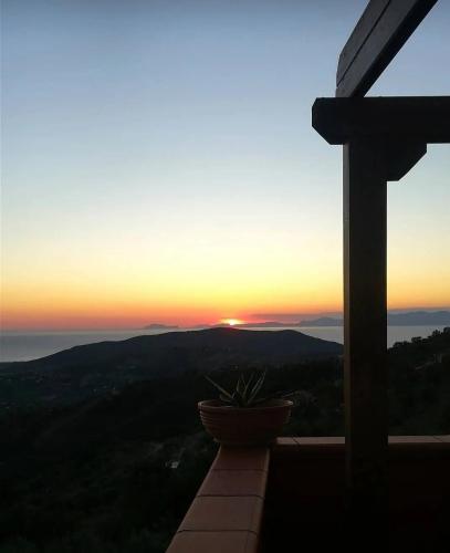 a plant in a pot sitting on a balcony watching the sunset at Antica Residenza Voso in Laureana Cilento