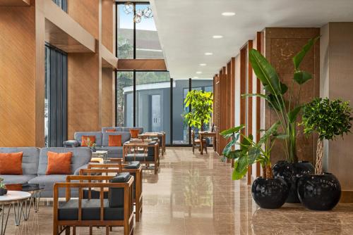 サムスンにあるRamada Plaza by Wyndham Samsunのソファ、テーブル、植物のあるロビー