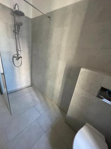 a bathroom with a shower and a toilet in it at Garsoniéra Ostrava City centr, Na Hradbách 118 in Ostrava