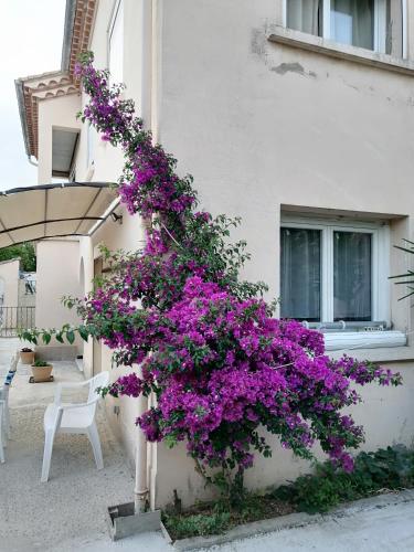 a bunch of purple flowers on the side of a building at La maison de 6Fran appartement 2 chaleureux et calme ambiance familiale in Valros