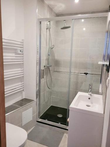 uma casa de banho com um chuveiro, um WC e um lavatório. em Gîte Emeraude em Bergheim