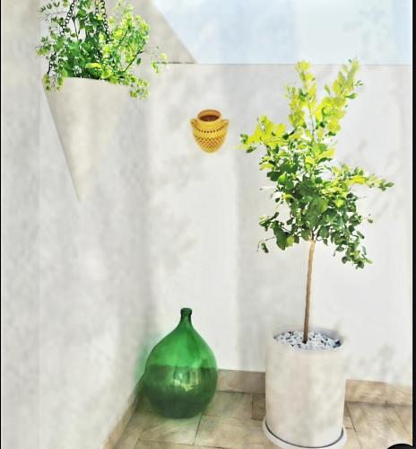 Fotografie z fotogalerie ubytování Dimora Asmara 11 15 v destinaci Brindisi