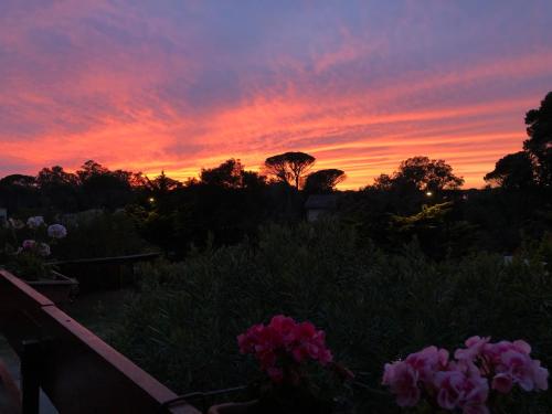 a sunset over a garden with flowers in the foreground at Arli Hotel Hideaway Punta Ala - Adults Only in Punta Ala