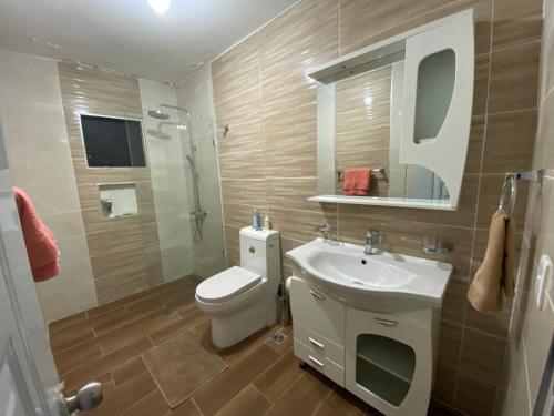 a bathroom with a toilet and a sink and a mirror at 6-1 SANTIAGO CITY GREAT COZY APT TO STAY - Cozy 3 bedrooms Apartment for 7 peoples - close to all kind the business wifi - Air Condition in Santiago de los Caballeros