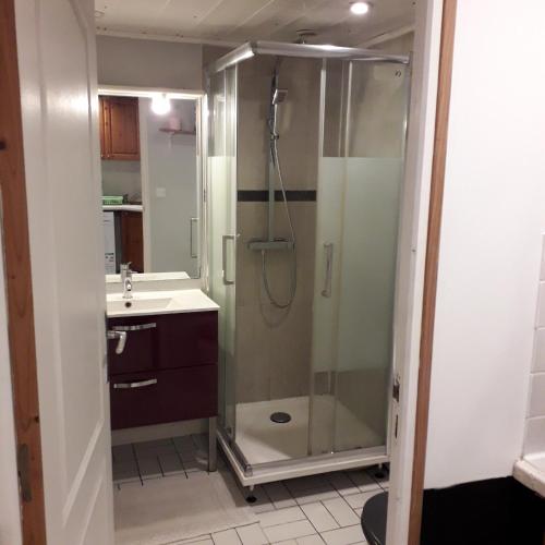 a bathroom with a shower and a sink at petite maison plain pied proche dunkerque in Boomkens