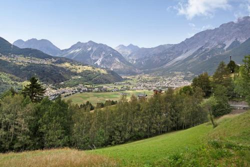a view of a valley with mountains in the background at Taulain Gotrosio in Valdisotto