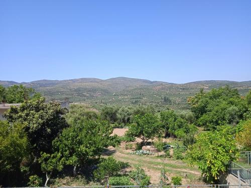 a garden with trees and mountains in the background at George & Dimitra's House in Kharokopión
