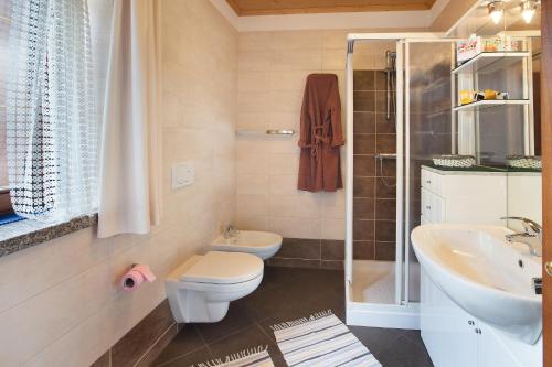 a bathroom with a toilet and a sink at Casa Grafa Bormio in Valdisotto