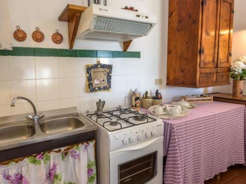 a kitchen with a stove and a sink at Podere del mezzadro in Contignano