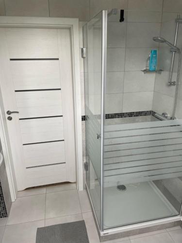 a shower with a glass door in a bathroom at Stanica Rowerowa Wygnanki in Wygnanki