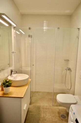 a bathroom with a shower and a sink and a toilet at Kraljev Park sa parking mestom in Novi Sad