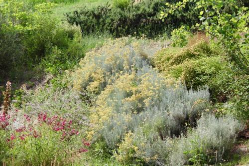 a field full of flowers in a garden at Frontemaja in Fara Filiorum Petri