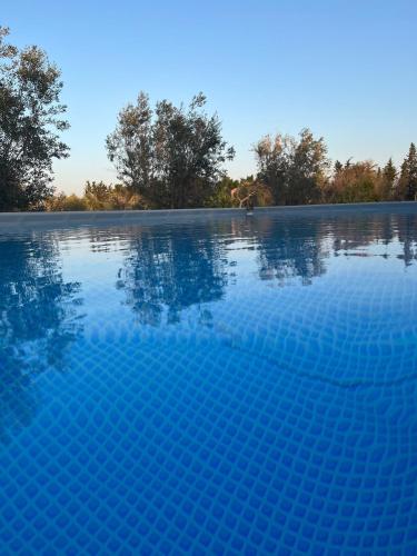 Piscina en o cerca de Li Papi