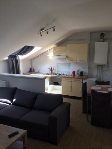 un salon avec un canapé et une cuisine dans l'établissement Le Victor Hugo 4 G, à Aurillac