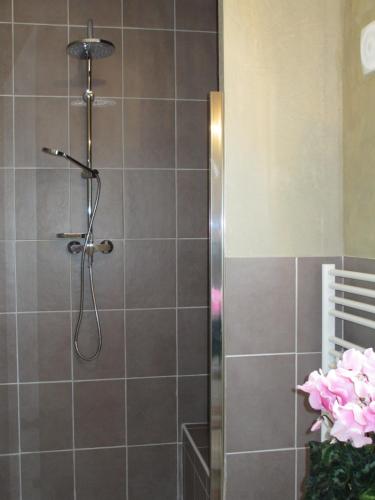 une douche avec pommeau de douche dans une salle de bain dans l'établissement Le Mas du Fort, à Neyron