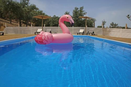 a pink inflatable flamingo in a swimming pool at Acquasanta Relais in Laureana Cilento