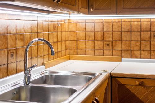 a kitchen with a stainless steel sink and wooden cabinets at Rodella A Parte in Campitello di Fassa