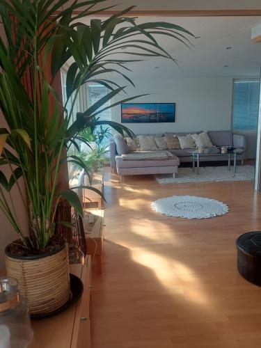 Χώρος καθιστικού στο Lake Saimaa Penthouse
