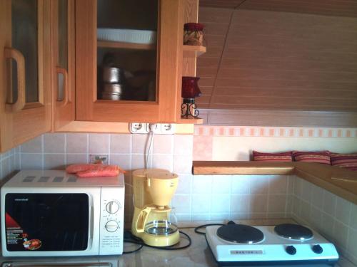 Kuhinja ili čajna kuhinja u objektu Bertalan Apartman