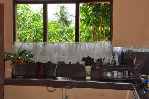 een raam boven een gootsteen in een keuken met planten bij Homestay Orchid in Mahawatta