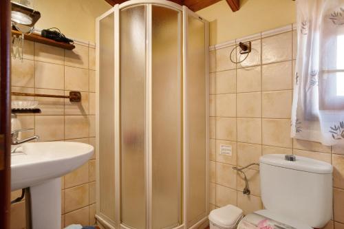 een badkamer met een douche, een toilet en een wastafel bij Casita Bentayga in Tejeda