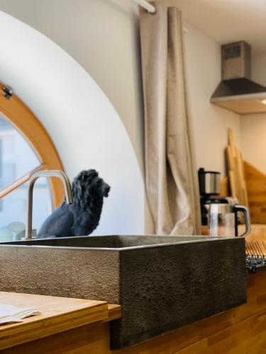 un chien noir assis dans un évier dans une cuisine dans l'établissement Le Chenonceau  Charme et douceur Tourangelle, à Tours