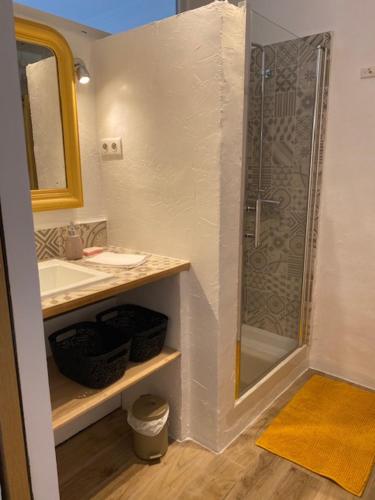 une salle de bain avec une douche, un lavabo et un miroir dans l'établissement Lumineux extérieur proche gare et stationnement privé, à Avignon