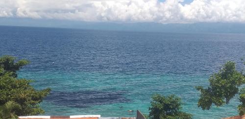 a view of a large body of water at Strandhaus Condotel in Moalboal