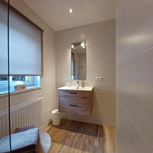 a bathroom with a sink and a mirror at Auerhiasbauer in St. Wolfgang