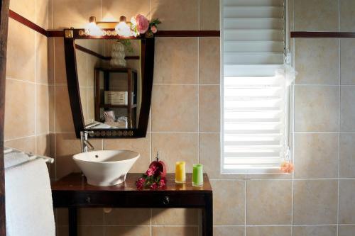 a bathroom with a sink and a mirror at Villa Diodon in Deshaies