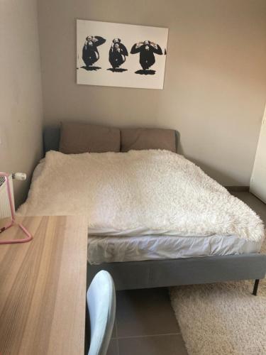 Photo de la galerie de l'établissement The Cocoon, à Nice