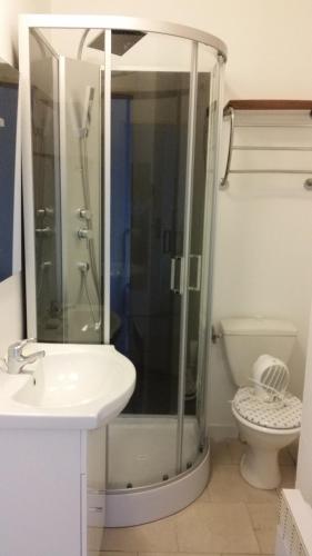 een badkamer met een douche, een wastafel en een toilet bij f2 avec terasse sud ouest in Duinkerke