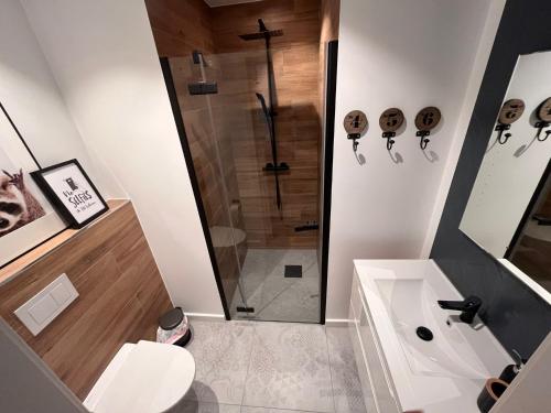Frafjord Apartments Thor في Dirdal: حمام مع دش ومرحاض