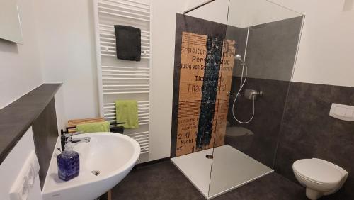 y baño con lavabo, ducha y aseo. en Bahnhof Gleis 72 - Ferienwohnungen, en Timmenrode