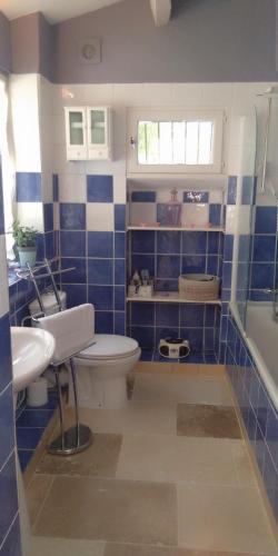La salle de bains est pourvue de carrelage bleu, de toilettes et d'un lavabo. dans l'établissement Bienvenue à la Source dans une Maison de Charme, à Apt