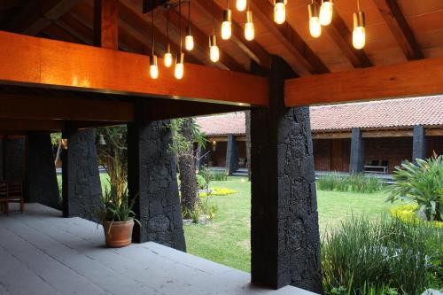 Κήπος έξω από το Orgánico Hotel Boutique TEPOZTLÁN