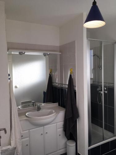 La salle de bains est pourvue d'un lavabo et d'une douche. dans l'établissement Eric's Appartement -Charmant T2 -, à Cambo-les-Bains